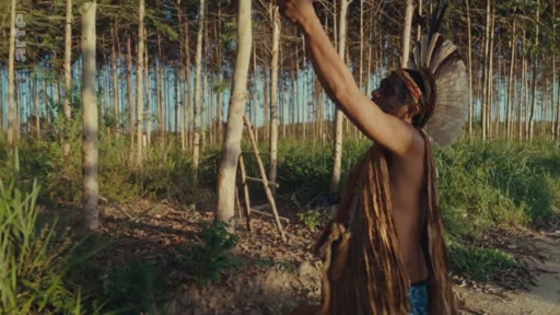 Un homme indigène portant une coiffe traditionnelle se tient dans une plantation industrielle d'eucalyptus, illustrant l'impact environnemental de la monoculture sur les terres ancestrales.