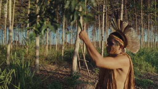 Un homme autochtone portant des ornements traditionnels observe les arbres dans une vaste plantation de monoculture, illustrant les tensions entre les peuples indigènes et l'exploitation industrielle des terres. Cette image souligne l'impact environnemental et social de la déforestation et de la monoculture sur les territoires ancestraux.