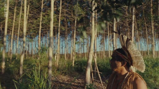 Un homme autochtone portant une coiffe traditionnelle se tient devant une plantation de monoculture, illustrant l'impact environnemental et la déforestation sur les terres indigènes.