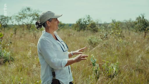 Une femme, probablement une experte ou une présentatrice, observe et commente le paysage de savane du Cerrado, illustrant les enjeux environnementaux liés aux ressources en eau dans cette région.