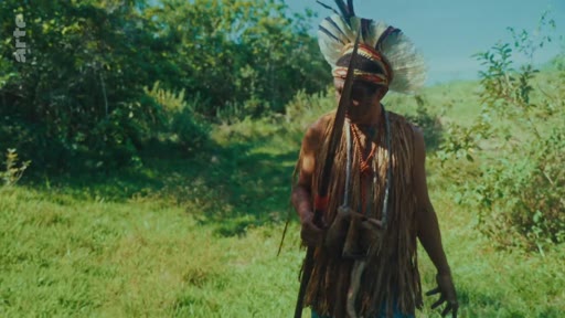 Un homme autochtone portant une coiffe traditionnelle et des vêtements en fibres naturelles marche à travers une zone de végétation, illustrant la perspective indigène sur la préservation de la forêt.