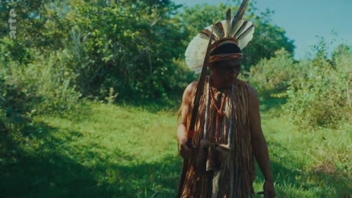 Un homme autochtone portant une coiffe en plumes et des vêtements traditionnels marche à travers une zone forestière, illustrant la perspective des peuples indigènes sur la déforestation et la préservation de l'environnement.