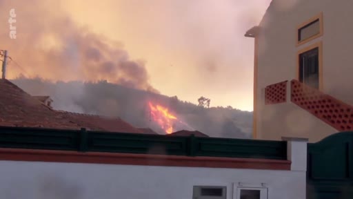 Vue d'un incendie de forêt se propageant sur une colline à proximité immédiate de zones résidentielles, illustrant les risques pour les habitations lors d'un feu de forêt.