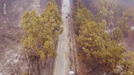 Vue aérienne montrant une route traversant une zone forestière dévastée par un incendie, avec des arbres brûlés et des véhicules circulant sur la chaussée. Cette image illustre les conséquences tragiques des feux de forêt sur les infrastructures routières.