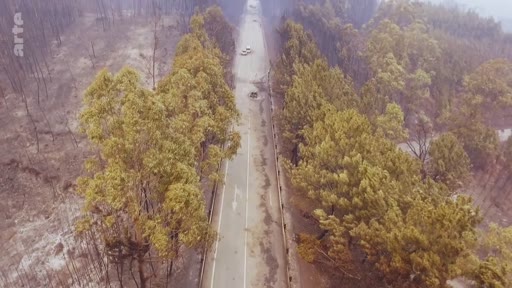 Vue aérienne montrant une route traversant une zone forestière dévastée par un incendie, avec des arbres brûlés de chaque côté. Le paysage témoigne des dégâts causés par les feux de forêt, avec des véhicules circulant sur la chaussée.