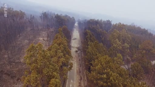 Vue aérienne montrant une route traversant une zone forestière dévastée par un incendie, avec des véhicules visibles sur la chaussée. L'image illustre les conséquences tragiques des feux de forêt sur les infrastructures routières.
