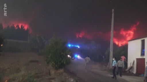 Des pompiers et des habitants observent un violent incendie de forêt se propageant la nuit, avec des flammes intenses visibles à l'arrière-plan. La scène montre l'urgence de la situation lors d'une intervention nocturne contre un feu de forêt.