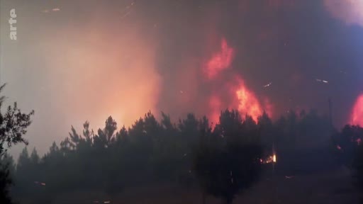 Vue nocturne d'un incendie de forêt intense se propageant à travers une zone boisée, illustrant les risques environnementaux et la propagation des feux de forêt.