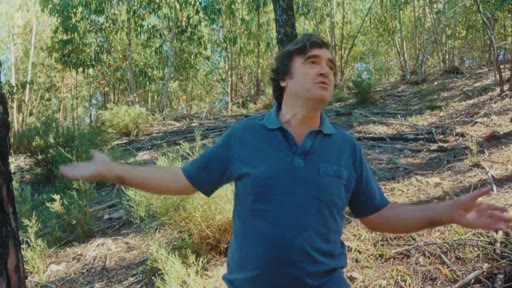 Un homme s'exprime avec les bras ouverts dans une forêt, illustrant un reportage sur la gestion forestière et la résilience des paysages.