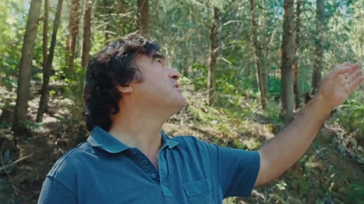 Un homme examine attentivement les arbres dans une forêt, illustrant les activités de gestion forestière et de surveillance de la résilience des paysages.