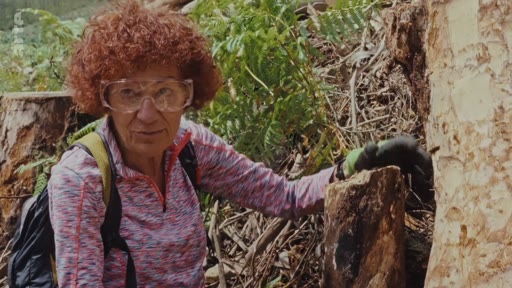 Une femme avec des cheveux roux, équipée de lunettes de protection et d'un sac à dos, inspecte un tronc d'eucalyptus dans une zone forestière déboisée. Cette séquence illustre les méthodes techniques utilisées pour l'élimination ou la gestion des eucalyptus dans le cadre d'une opération forestière.