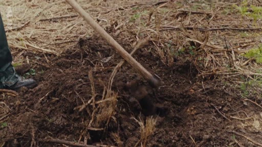Une personne utilise une houe pour creuser et préparer le sol dans une zone boisée, illustrant les travaux de plantation d'arbres et l'engagement communautaire pour la reforestation.