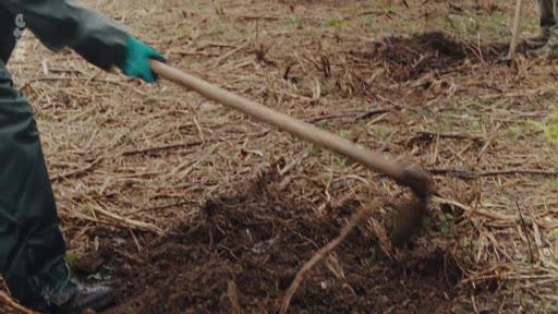 Une personne portant des gants de travail utilise une houe pour retourner la terre dans une zone forestière ou rurale, illustrant des activités de reforestation ou de plantation communautaire.