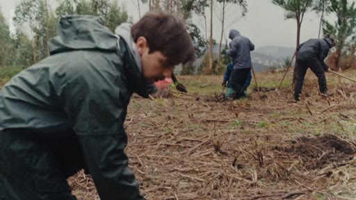 Un groupe de bénévoles, dont un homme au premier plan, participe à une opération de reforestation en extérieur. Ils utilisent des outils pour planter de jeunes arbres dans un terrain dégagé et boisé.