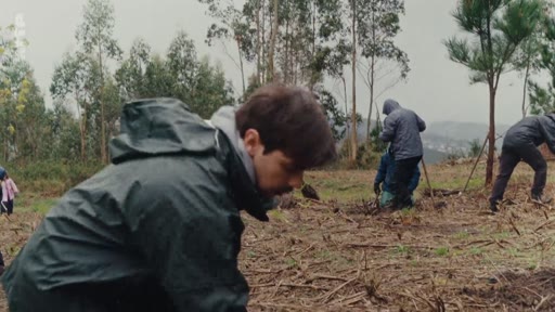 Un groupe de bénévoles, dont un jeune homme au premier plan, participe à une opération de reforestation en extérieur par temps couvert. Les participants sont équipés de vestes imperméables et travaillent ensemble pour planter de jeunes arbres dans un terrain dégagé.
