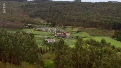 Vue aérienne d'un hameau niché au cœur d'une zone forestière, illustrant l'intégration des habitations dans un paysage rural marqué par la sylviculture et la gestion des terres.