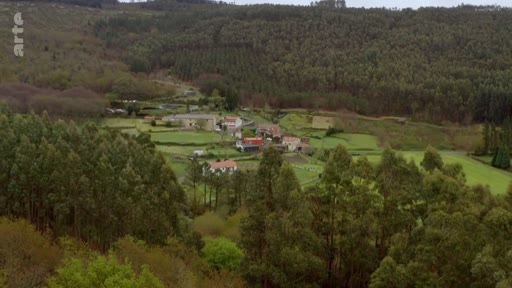 Vue aérienne d'un hameau rural niché au cœur d'une zone forestière, illustrant l'intégration des habitations dans un paysage marqué par la sylviculture et le reboisement.