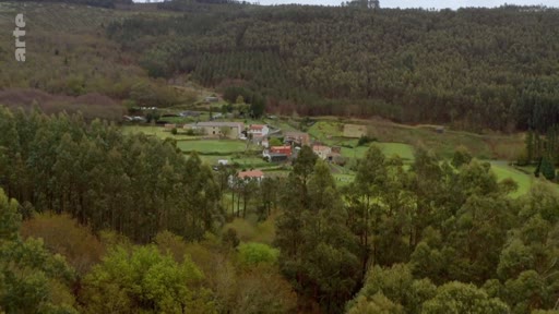 Vue aérienne d'un hameau rural niché au cœur d'une zone forestière, illustrant l'intégration des habitations dans un paysage boisé.
