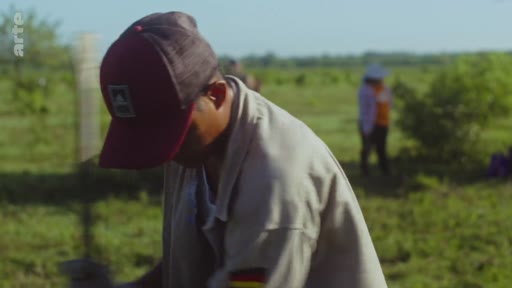 Un homme travaillant dans un champ lors d'une campagne de reforestation, portant une casquette et une chemise avec un petit drapeau. En arrière-plan, une autre personne est visible dans un paysage rural ouvert.