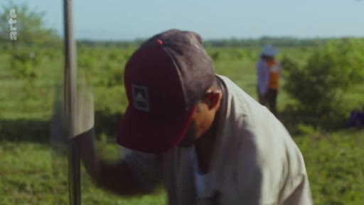 Un homme portant une casquette Adidas participe à une campagne de reforestation en plantant un jeune arbre dans un champ en extérieur.