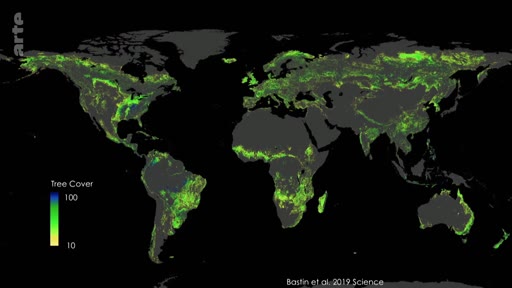 Cette carte mondiale, basée sur l'étude de Bastin et al. publiée dans Science en 2019, visualise la densité de la couverture forestière à travers le globe.