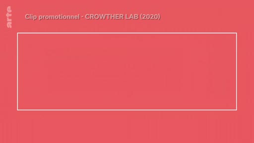 Une carte de titre identifiant le Crowther Lab dans le cadre d'un clip promotionnel de 2020 sur le potentiel de reforestation mondial.
