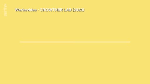 Une carte de titre jaune indiquant 'Werbevideo - CROWTHER LAB (2020)' dans le cadre d'un reportage sur le potentiel de reforestation mondial.