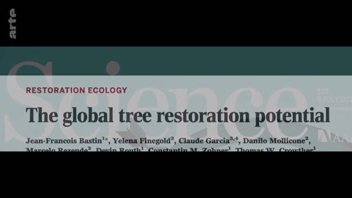 Le titre de l'article scientifique 'The global tree restoration potential' publié dans la revue Science, traitant de l'écologie de la restauration et du reboisement mondial.