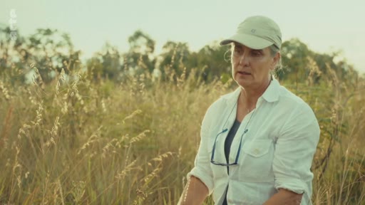 Une femme, possiblement une chercheuse ou une experte, est filmée en extérieur dans un champ d'herbes hautes, illustrant un reportage sur la critique scientifique et les politiques climatiques.