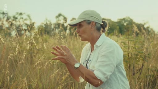 Une femme portant une casquette et une chemise blanche examine attentivement la végétation dans un champ, illustrant une activité de recherche scientifique ou d'observation environnementale sur le terrain.