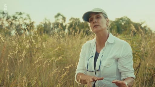 Une femme, portant une casquette et une chemise blanche, s'exprime lors d'une interview en extérieur dans un champ d'herbes hautes, illustrant un reportage sur les enjeux environnementaux et la politique climatique.