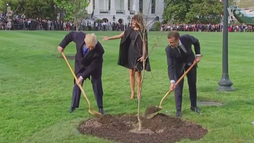 Le président américain Donald Trump, la Première dame Melania Trump et le président français Emmanuel Macron participent à une cérémonie de plantation d'un arbre dans les jardins de la Maison-Blanche à Washington. Cet événement symbolique souligne les relations diplomatiques entre la France et les États-Unis.