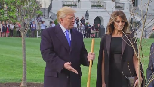 Donald Trump et Melania Trump participent à une cérémonie de plantation d'un arbre dans les jardins de la Maison-Blanche à Washington. Cet événement symbolique souligne les enjeux environnementaux et la gestion des espaces verts présidentiels.
