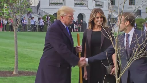 Donald Trump, Melania Trump et Emmanuel Macron participent à une cérémonie de plantation d'arbre dans les jardins de la Maison Blanche à Washington. Cet événement symbolique souligne les relations diplomatiques entre les États-Unis et la France.