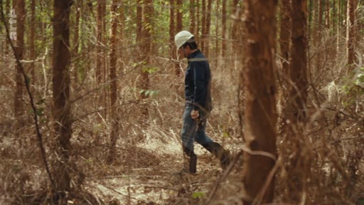 Un homme en tenue de travail et casque de protection inspecte une zone forestière dans le cadre d'un reportage sur les crédits carbone.