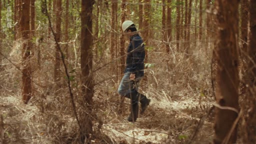 Un travailleur forestier équipé d'un casque de sécurité inspecte une plantation d'arbres dans le cadre d'un projet lié aux crédits carbone. Cette image illustre les activités de terrain nécessaires à la gestion forestière et à la vérification des projets de compensation carbone.