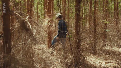 Un homme portant une casquette et une chemise à carreaux marche à travers une zone forestière, illustrant les enjeux liés aux projets de reforestation et aux crédits carbone.