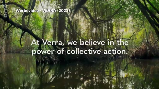 Une image illustrant une forêt tropicale avec le texte 'At Verra, we believe in the power of collective action', issue d'une vidéo promotionnelle de Verra en 2023.