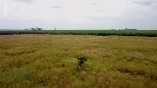 Vue aérienne montrant une zone de savane et de végétation dense en République du Congo, dans le cadre du projet de TotalEnergies. Le paysage illustre l'environnement naturel où se déploient les activités industrielles et les enjeux écologiques liés à l'exploitation pétrolière.