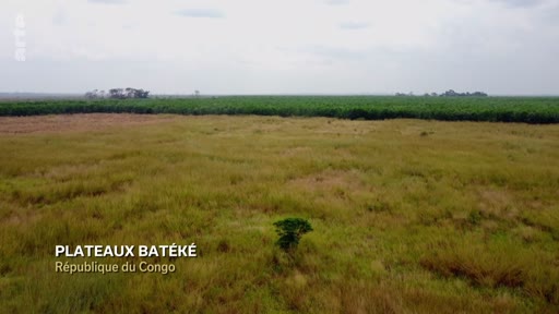 Vue aérienne des paysages de savane des plateaux Batéké en République du Congo, une zone concernée par les projets industriels de TotalEnergies.