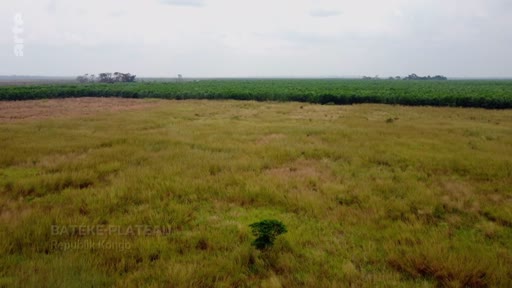 Vue aérienne du plateau Batéké en République du Congo, illustrant le paysage naturel où se déroule le projet de TotalEnergies.