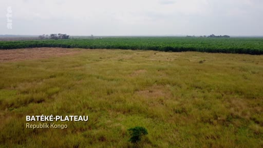 Vue aérienne des paysages des plateaux Batéké en République du Congo, illustrant le contexte géographique du projet de TotalEnergies dans la région.