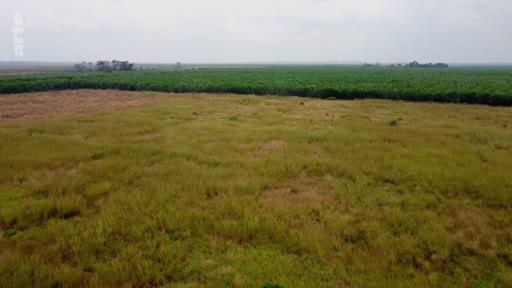 Vue aérienne montrant une étendue de savane et de végétation sauvage jouxtant une plantation, illustrant l'impact environnemental du projet TotalEnergies au Congo.