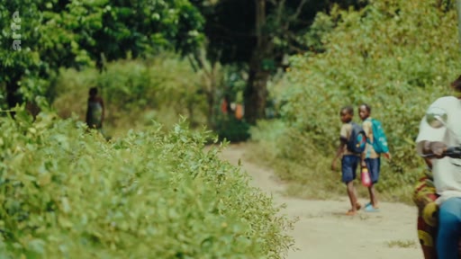 Deux jeunes écoliers portant des sacs à dos marchent sur un chemin de terre entouré de végétation, illustrant le quotidien des enfants dans une zone rurale en lien avec la lutte pour les terres ancestrales.