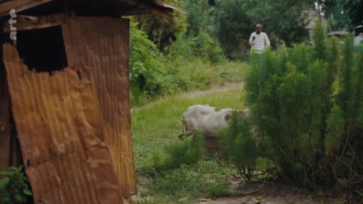 Un homme marche dans un environnement rural, passant près d'une structure rudimentaire en tôle ondulée et d'une chèvre, illustrant les conditions de vie précaires dans une zone rurale.