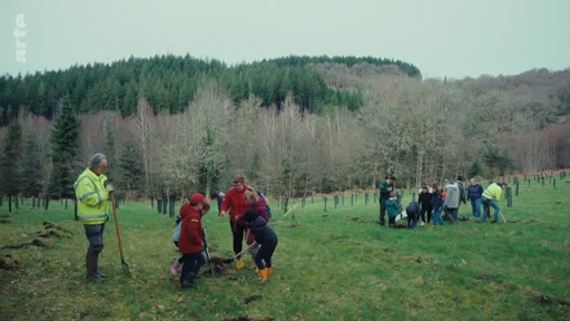 Un groupe de bénévoles et d'enfants, encadrés par un professionnel, participe à une opération de plantation d'arbres dans une prairie en lisière de forêt. Cette action s'inscrit dans le cadre d'un projet de reforestation ou de sensibilisation à l'écologie.