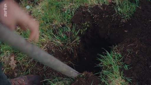 Une personne utilise une bêche pour creuser un trou dans la terre, illustrant les travaux de plantation d'arbres dans le cadre d'un débat écologique.