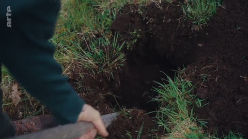 Une personne utilise une pelle pour creuser un trou dans la terre, illustrant les travaux de plantation d'arbres dans le cadre d'un débat écologique.