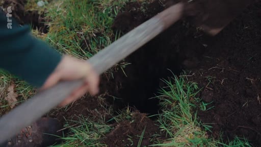 Une personne utilise une pelle pour creuser un trou dans la terre, illustrant les travaux de plantation d'arbres dans le cadre d'un débat écologique.
