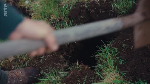 Une personne utilise une pelle pour creuser un trou dans la terre, illustrant les travaux de plantation d'arbres dans le cadre d'un débat écologique.